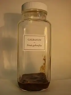 A bottle labeled "Galbanum – Ferula galbaniflua" containing a dark brown sticky mass.