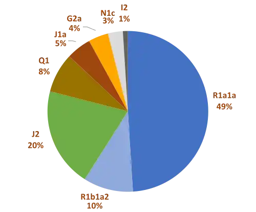 Gene pool (Y-DNA) of the Lipka Tatars, closely connected to the Crimean Tatars.[75][76]