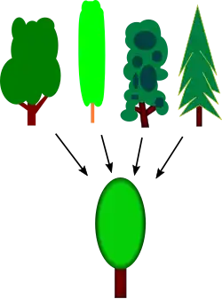 Diagram of several trees with arrows to one more tree