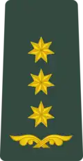 Georgia (პოლკოვნიკი, polkovnik)