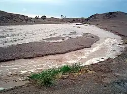 muddy stream in Gobi Desert with grass in foreground and desert in background