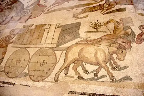 Oxen hauling caged prey