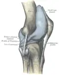 Lateral aspect of right knee
