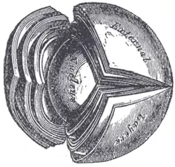 The crystalline lens, hardened and divided