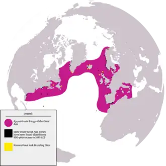 A map showing the range of the great auk, projected on a globe centred on the Atlantic ocean, North America and Europe forming two boundaries, the southern boundary stretching from southern Florida to northern Morocco, and the northern boundary stretching from Labrador to Northern Norway, wrapping around south and central Greenland, indicating the species occurred in the northern Atlantic, northern sea, and parts of the Mediterranean and Baltic seas.