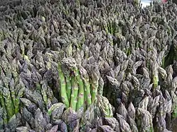 Green asparagus for sale in New York City