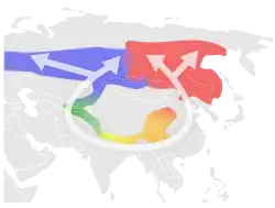 Presumed evolution of five "species" of greenish warblers around the Himalayas