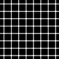 Scintillating grid illusion: Dark dots seem to appear and disappear rapidly at random intersections, hence the label "scintillating".