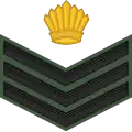 Staff sergeant (Guyana Army)[34]