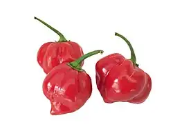 Red habaneros