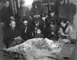 Dead dog with mourners