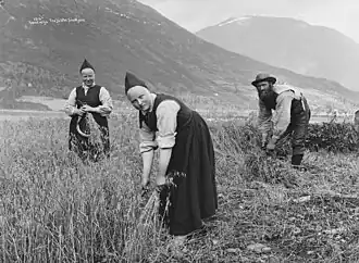 Harvest in Jølster Municipality, Norway, c. 1890.