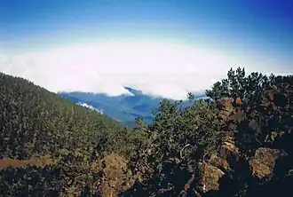 Hispaniolan pine forests as seen from Pico Duarte, Dominican Republic and Haiti