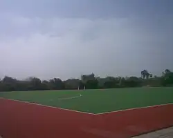 synthetic turf in Anna stadium