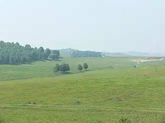 Inner Mongolian grassland