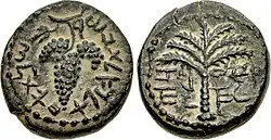 Bar Kokhba coin depicting grapes, a date palm, and a Hebrew inscription mentioning "Eleazar the Priest"