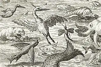 Mayfly by Jan Sadeler after Maerten de Vos, detail from The Fifth Day: The Creation of the Birds and Fishes, c. 1587