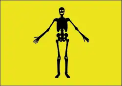 Described by privateer George Shelvocke as "a yellow field and black human skeleton."[64]