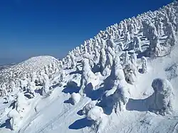 Snow covered landscape and trees in Hakkōda Mountains