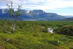 A hilly, green landscape with a grey tree growing on the left, snow-capped mountains in the background, and a blue sky above with white clouds.