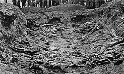 A mass grave, with multiple corpses visible