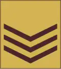 Sergeant (Kenya Army)[73]