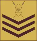 Staff sergeant (Kenya Army)