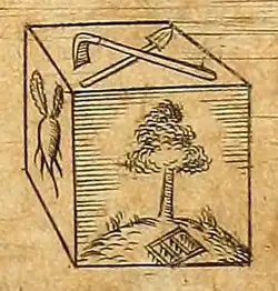 Sketch of trees on cube's face by Johannes Kepler