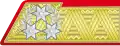 Insignia of an Austro-Hungarian Army colonel general