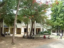 campus of a college with shaded trees