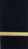 A gold bar on the shoulder of a blue dress coat.