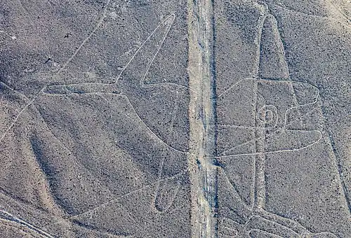 The Whale (la ballena)[68][70]