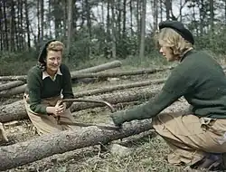 Women of the Land Army cutting felled logs during World War II