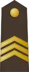 Seržants (Latvian Land Forces)[75]