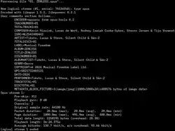 Example of file metadata of an Opus audio file, using Vorbis comments