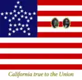 Digital reconstruction of the flag carried by California delegates to Washington D.C., 1861 (based on description)[68]
