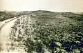 Photo taken in 1894 by H.R. Locke on Battle Ridge looking toward Last Stand Hill (top center). To the right of Custer Hill is Wooden Leg Hill, named for a surviving warrior. He described the death of a Sioux sharpshooter killed after being seen too often by the enemy.[237][238]