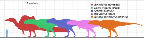 Graph showing relative sizes of five types of dinosaur compared with small human figure, each represented by silhouettes in different colours