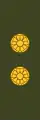 Luutnantti Löjtnant (Finnish Army)[31]