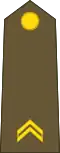 Premier sergent (Luxembourg Army)[32]