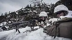 Bipod mounted light fire support