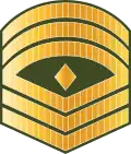 ފަސްޓް ސާރޖަންޓް Fast saarjant (Maldives National Defence Force)[33]