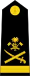 ލެފްޓިނަންޓް ޖެނެރަލް Lieutenant general[60] (Maldivian Marine Corps)