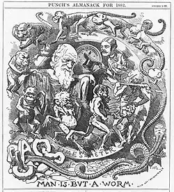 Darwin's figure is shown seated, dressed in a toga, in a circular frame labelled "TIME'S METER" around which a succession of figures spiral, starting with an earthworm emerging from the broken letters "CHAOS" then worms with head and limbs, followed by monkeys, apes, primitive men, a loin cloth clad hunter with a club, and a gentleman who tips his top hat to Darwin