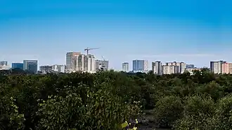 The skyline of the Mandurriao district