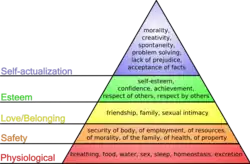 Pyramid diagram illustrating Maslow's theory of needs