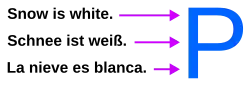 Diagram of different sentences with arrows to the letter "P"