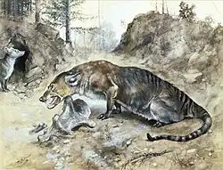 An illustration of a mesonychian, which looks like a wolf-like animal