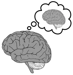 Diagram of a brain thinking about a brain