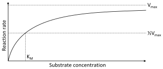 A two dimensional plot of substrate concentration (x axis) vs. reaction rate (y axis). The shape of the curve is hyperbolic. The rate of the reaction is zero at zero concentration of substrate and the rate asymptotically reaches a maximum at high substrate concentration.